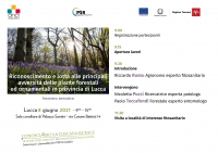 Incontro tematico &quot;Riconoscimento e lotta alle principali avversità delle piante forestali ed ornamentali in provincia di Lucca&quot;