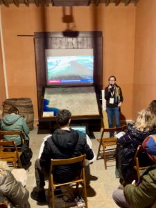 WhatsApp Image 2025-02-20 at 10.34.54 (1) (1)