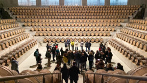 WhatsApp Image 2025-02-20 at 15.01.00 (1)