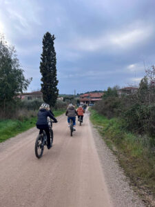 WhatsApp Image 2025-02-20 at 16.11.21 (1)