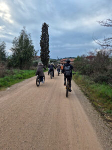 WhatsApp Image 2025-02-20 at 17.20.14 (3) (1)