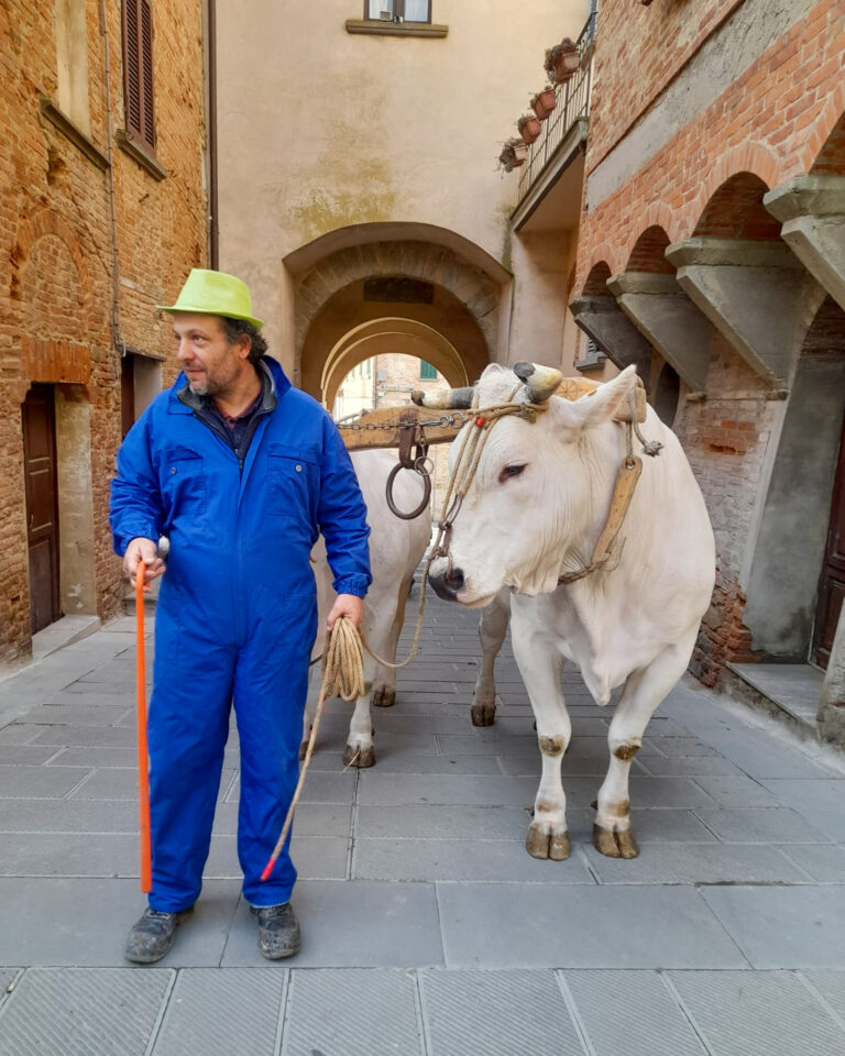 WhatsApp Image 2025-03-12 at 09.22.50