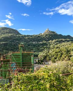 WhatsApp Image 2025-10-23 at 17.51.57