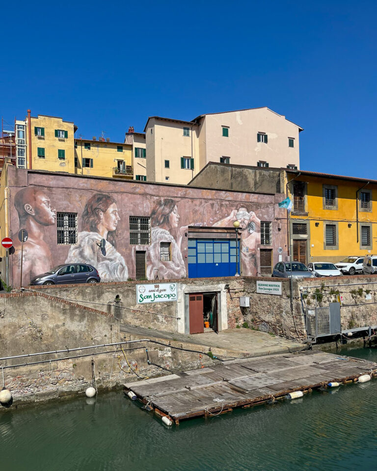 WhatsApp Image 2026-03-19 at 17.07.51