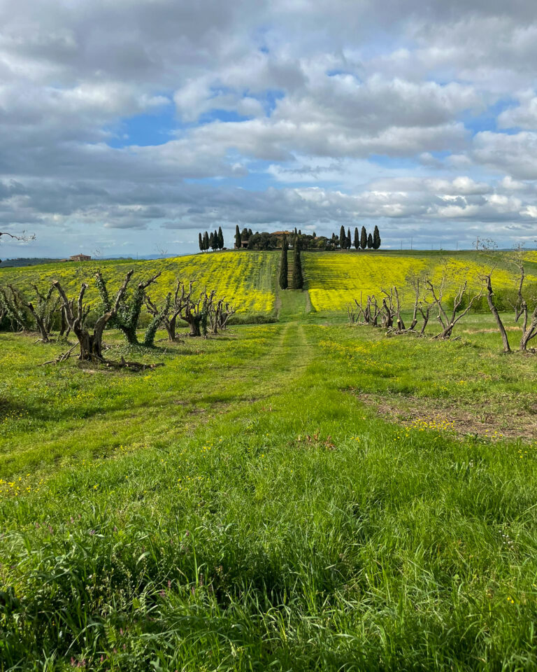 WhatsApp Image 2026-04-15 at 18.28.01 (4)