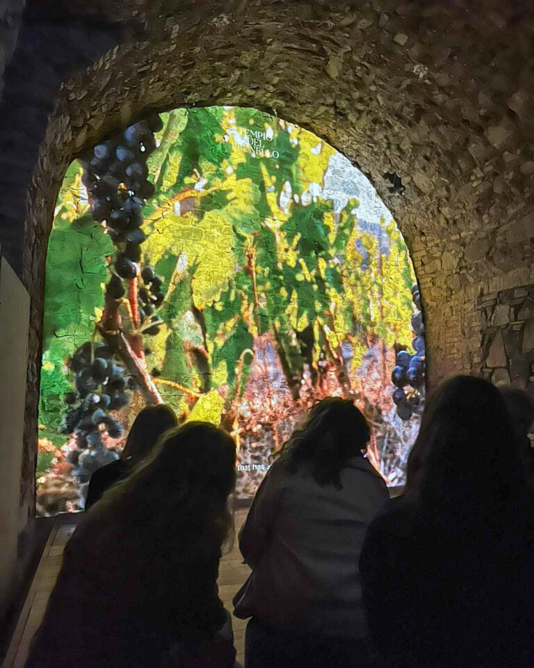 WhatsApp Image 2026-04-15 at 20.18.24